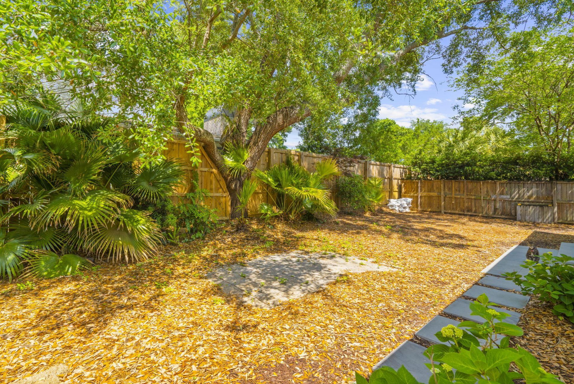 115 Freeman Street Photo 68