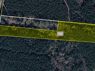 1462 Johnsville Road, Smoaks, SC 29481