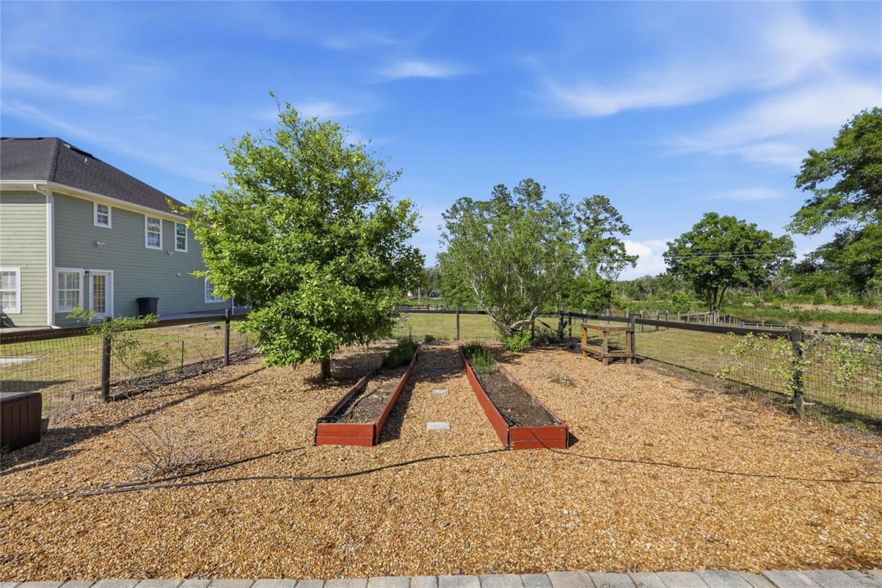 101 Ramsey Drive, Melrose, FL 32666 Photo