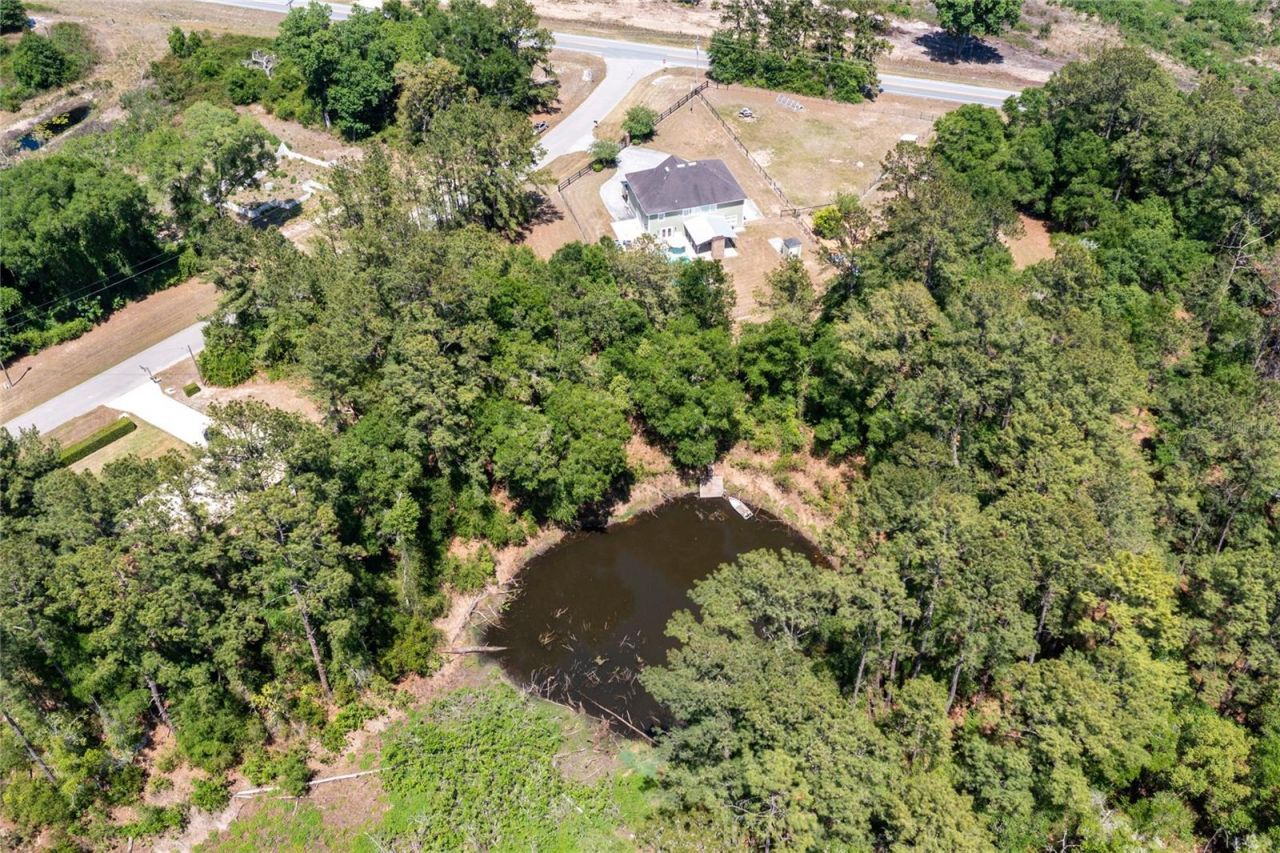 101 Ramsey Drive, Melrose, FL 32666 Photo