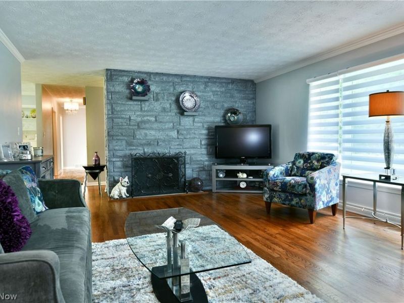 849 Brookfield Avenue, Youngstown, OH 44512 Photo 8