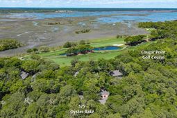 575 Oyster Rake photo 4