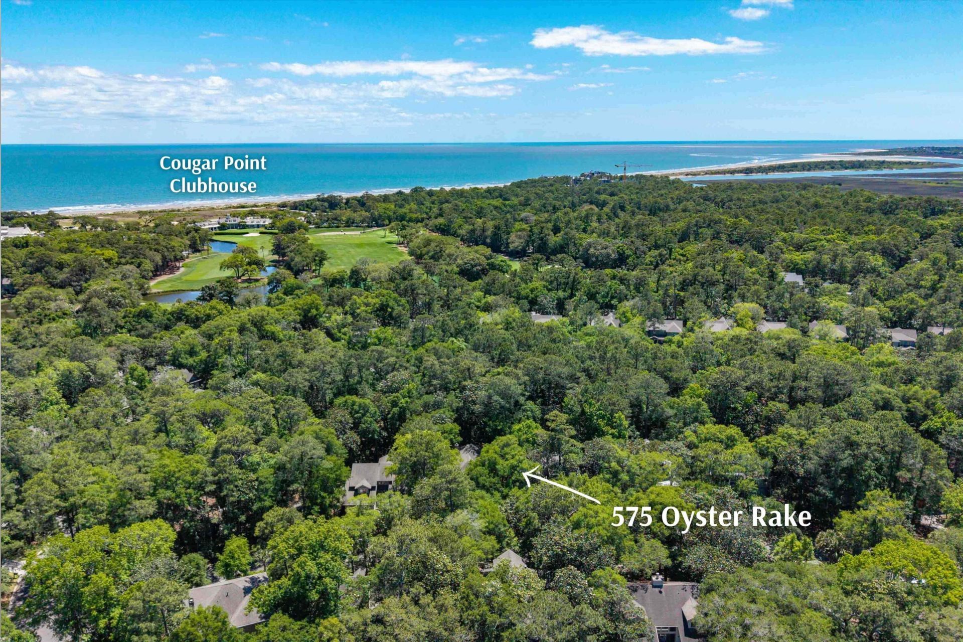 575 Oyster Rake Photo 44