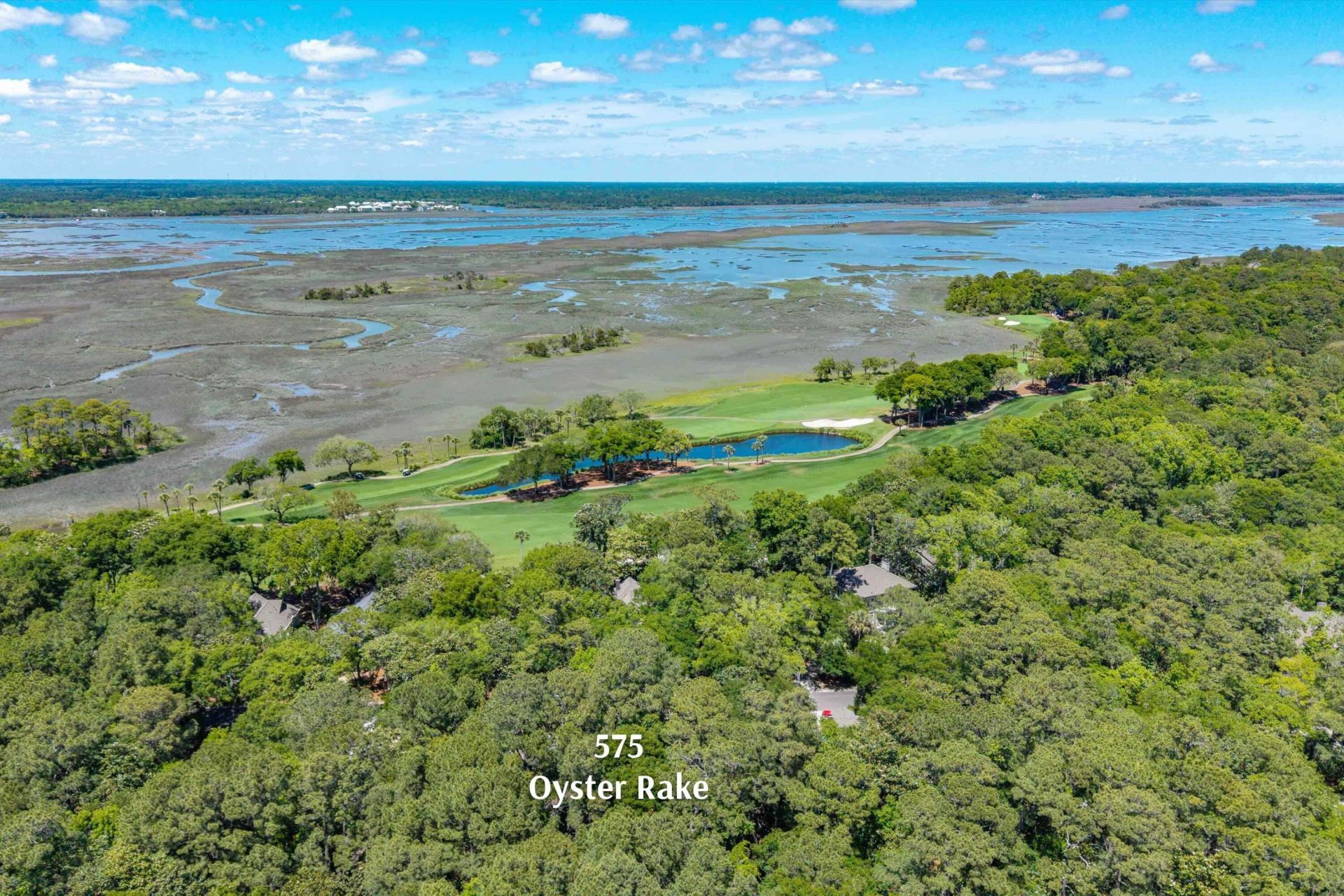 575 Oyster Rake Photo 47