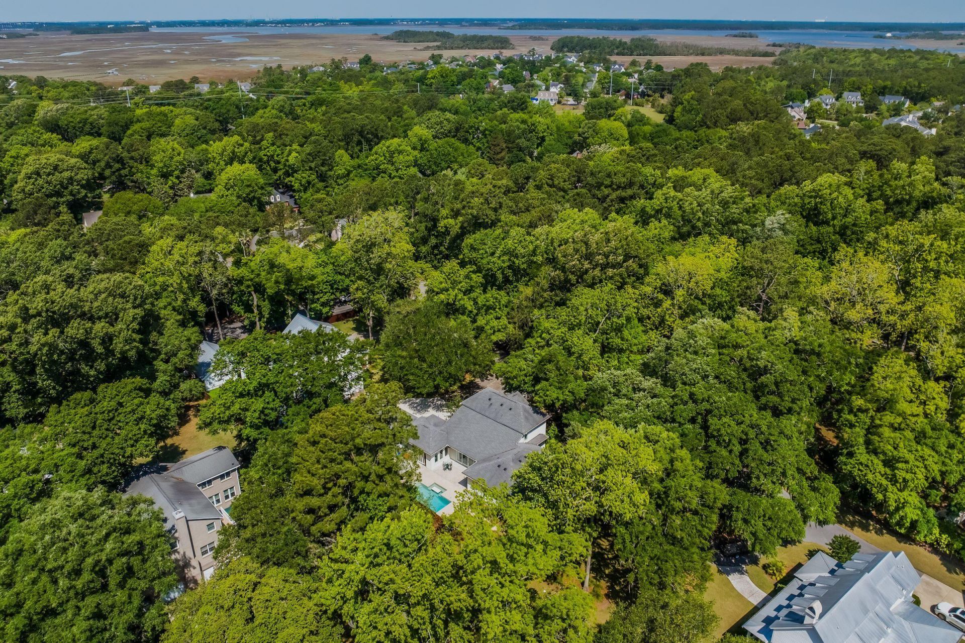 371 Live Palmetto Bluff Photo 81