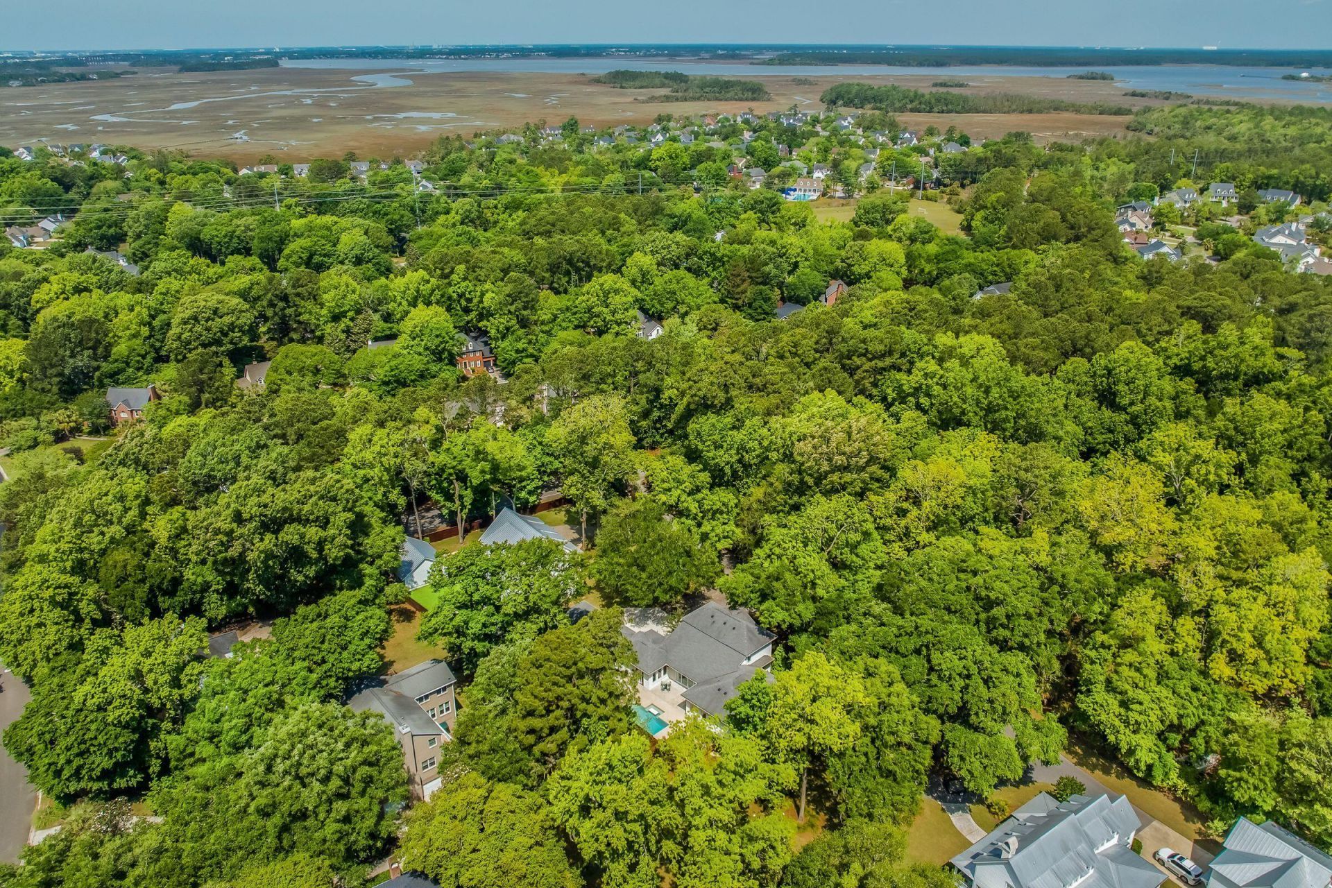371 Live Palmetto Bluff Photo 91