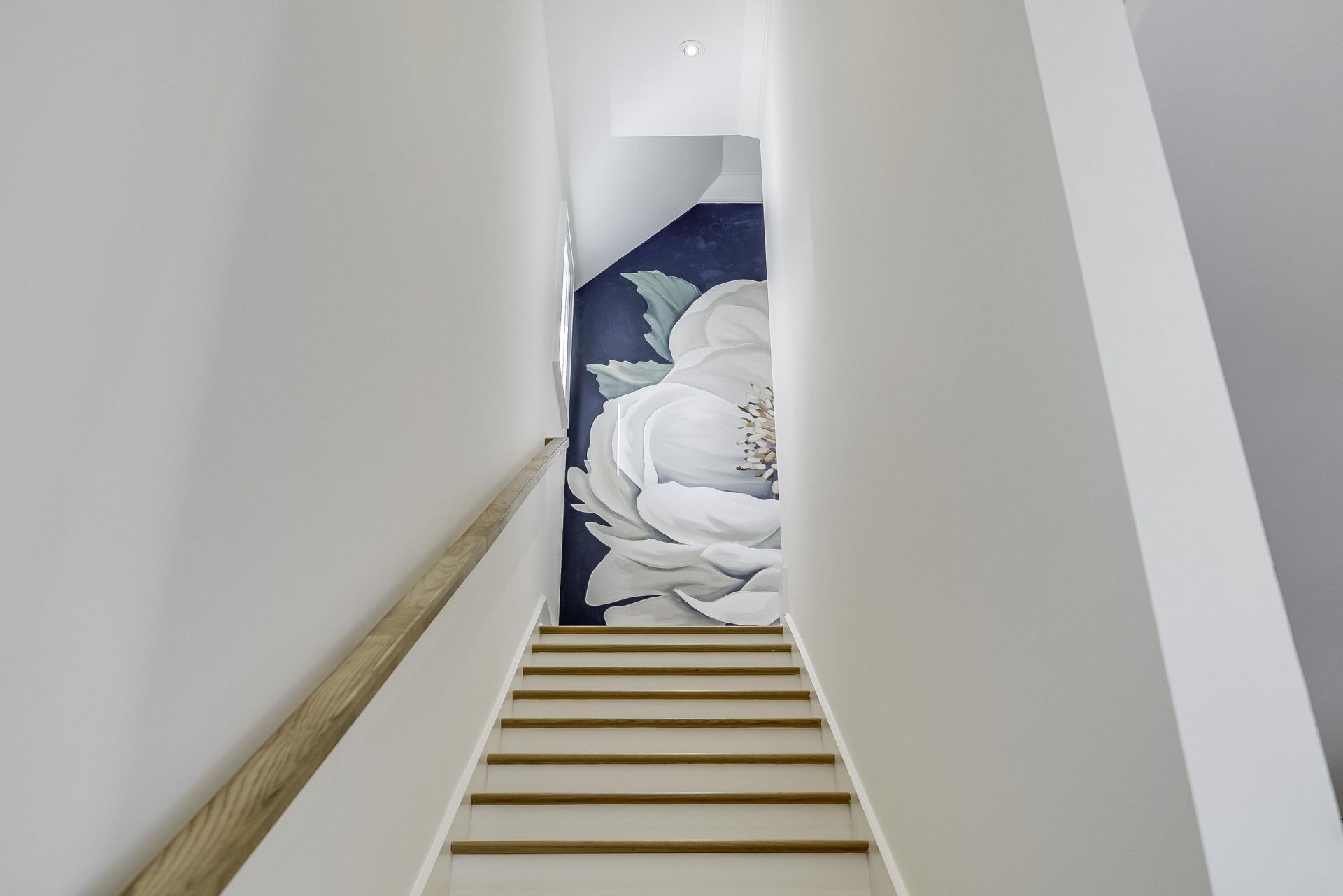 34 Rose Lane Photo 16