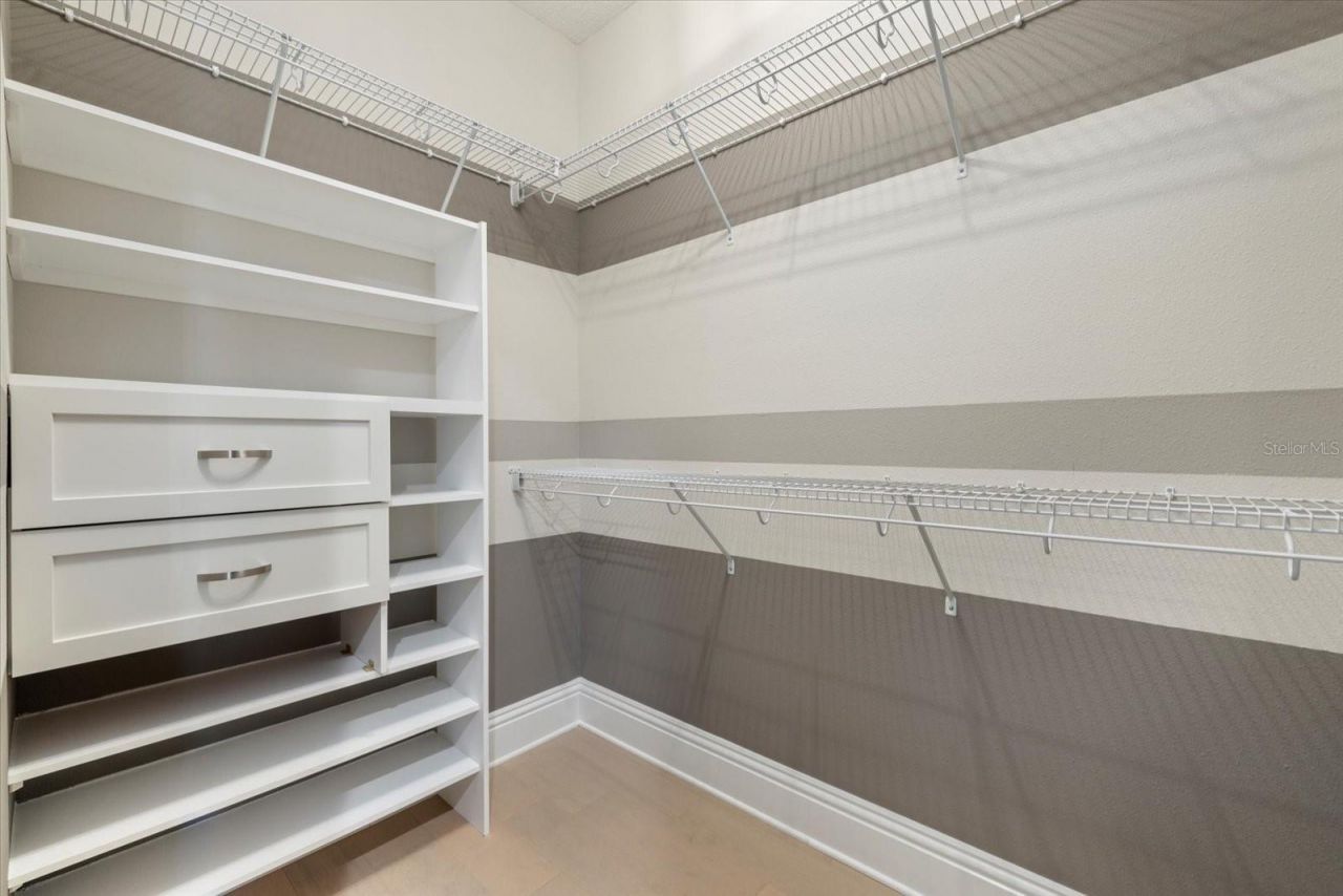 7224 Graybrook Drive, Wesley Chapel, FL 33545 Photo