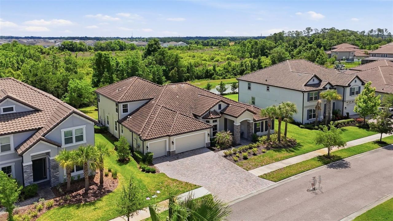 7224 Graybrook Drive, Wesley Chapel, FL 33545 Photo