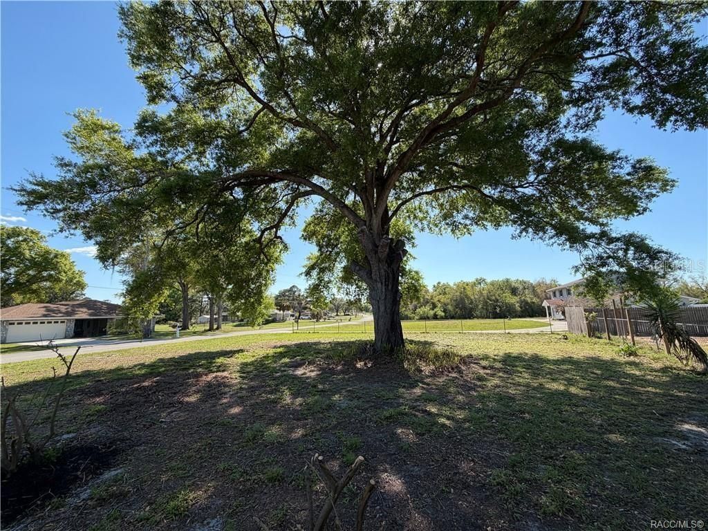 7533 E Applewood Drive , Inverness, FL 34450 Photo