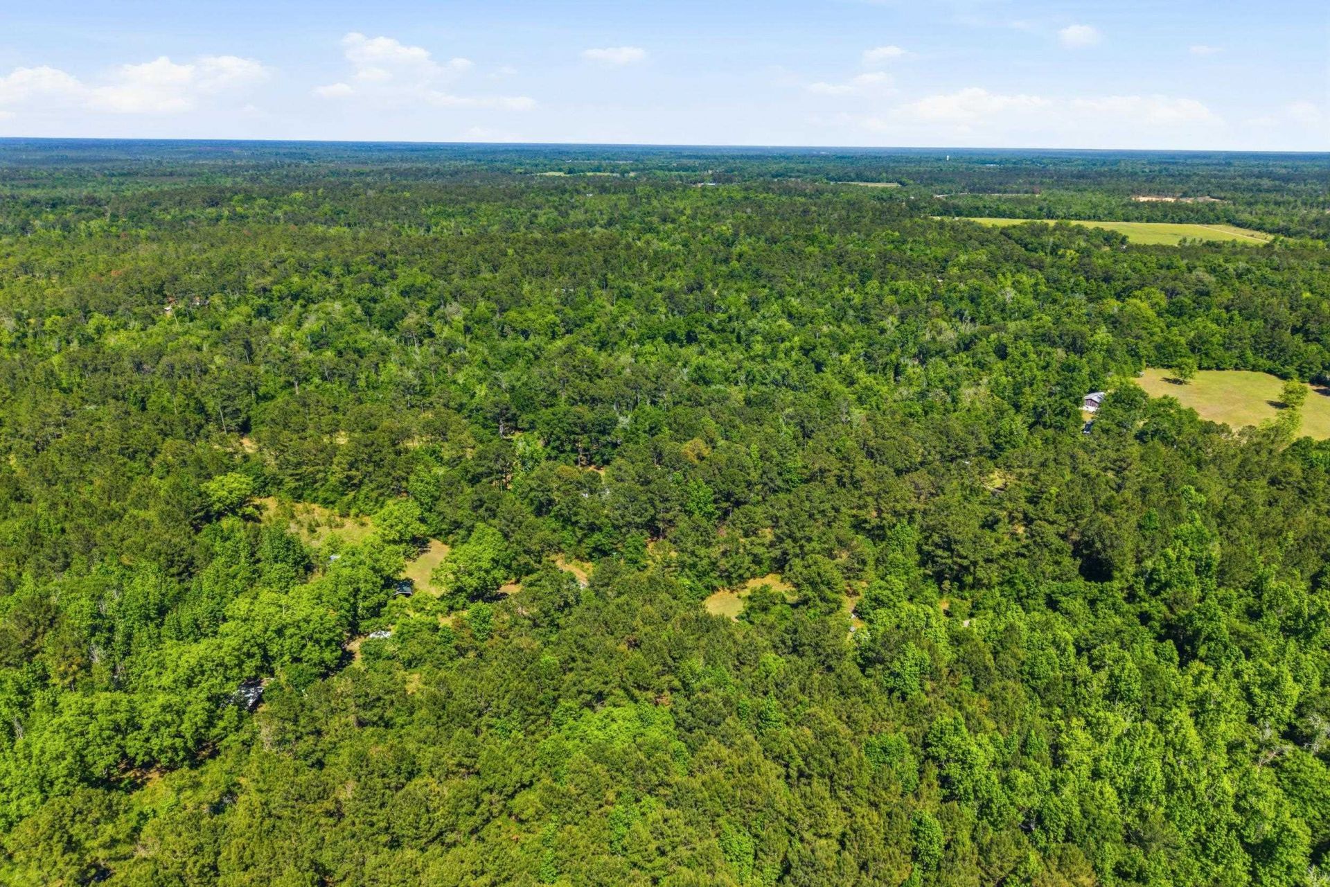 210 Winding Creek Road , Quincy, FL 32351 Photo