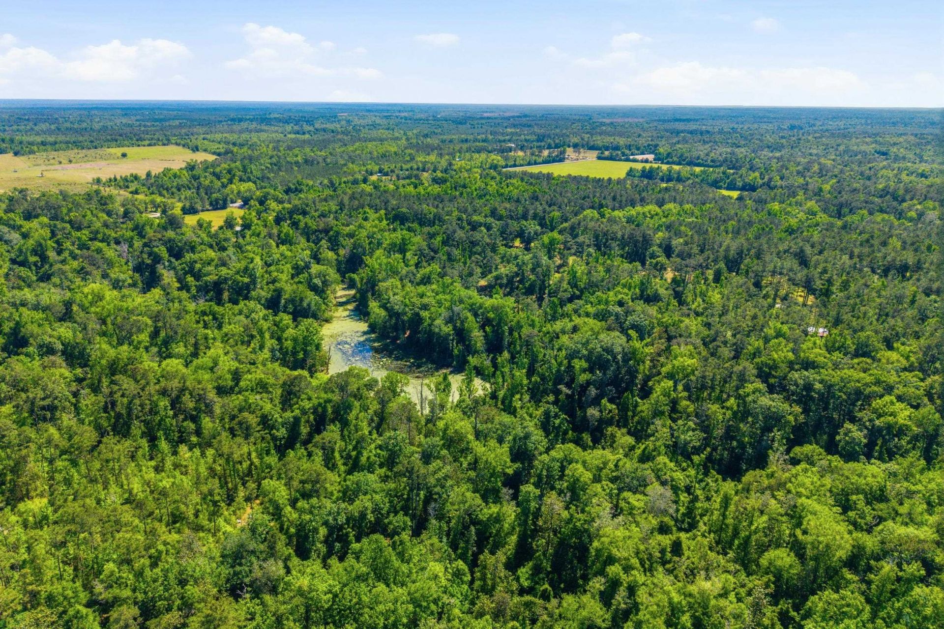 210 Winding Creek Road , Quincy, FL 32351 Photo