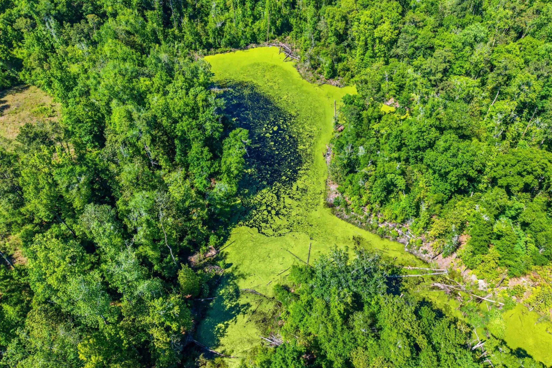 210 Winding Creek Road , Quincy, FL 32351 Photo