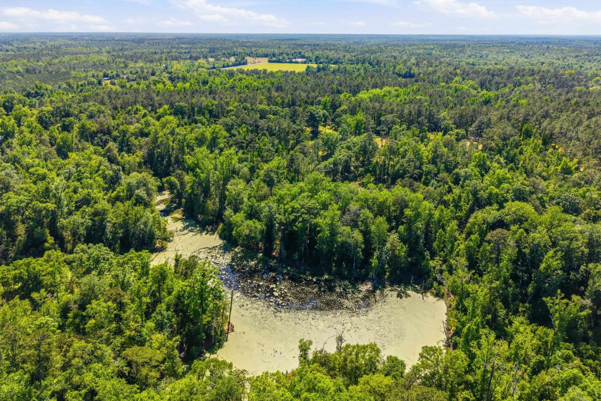 210 Winding Creek Road , Quincy, FL 32351 Photo