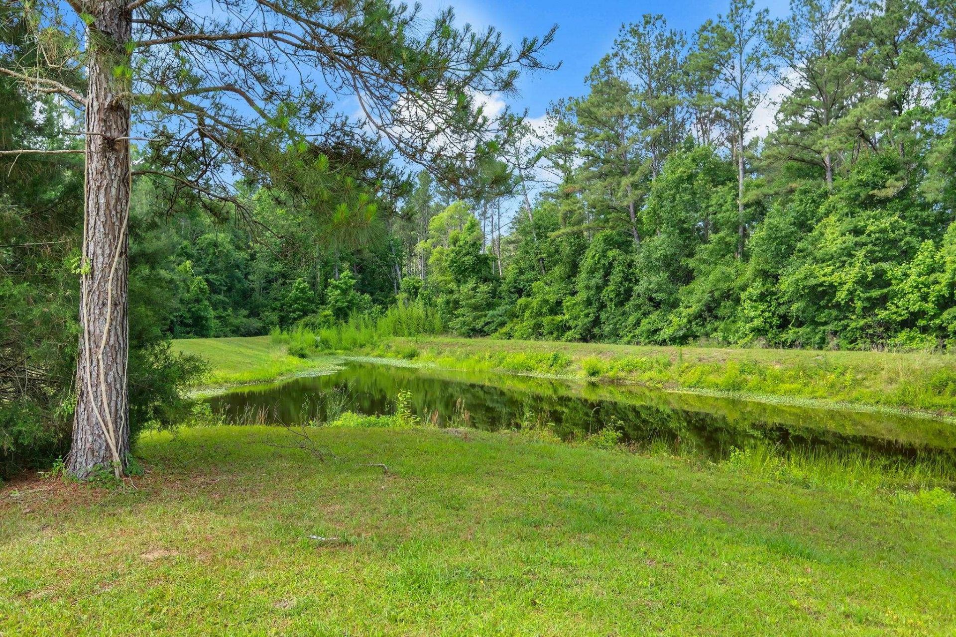 512 Creekside Court, Monticello, FL 32344 Photo