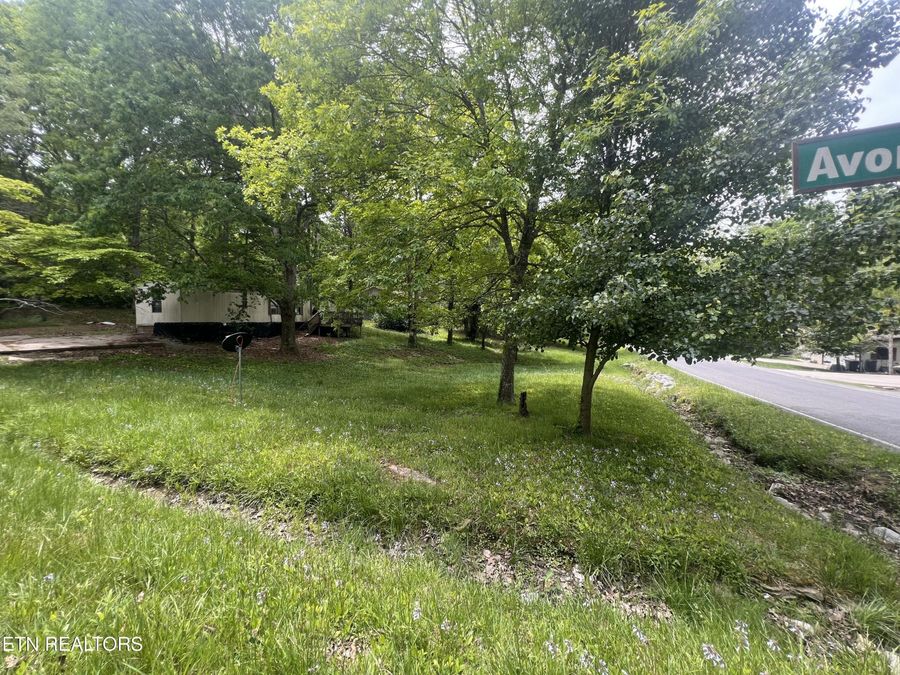 Property Image 32