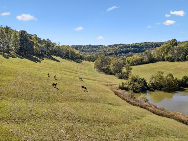 2846 Fuller Hollow Rd, Cornersville, TN 37047