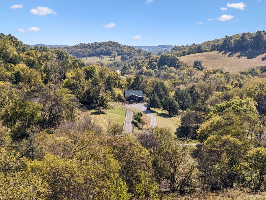 Property Image 11