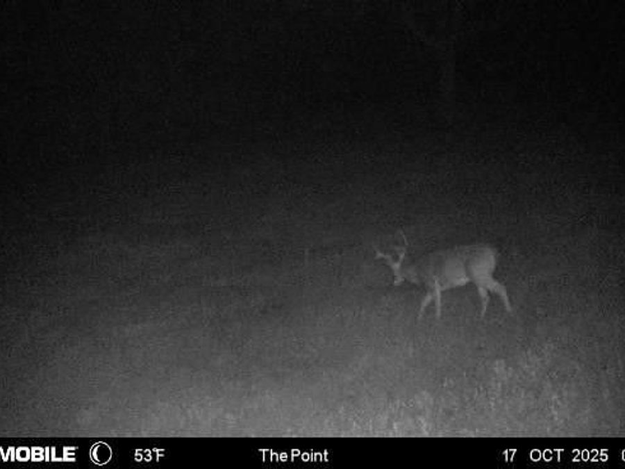 Property Image 97