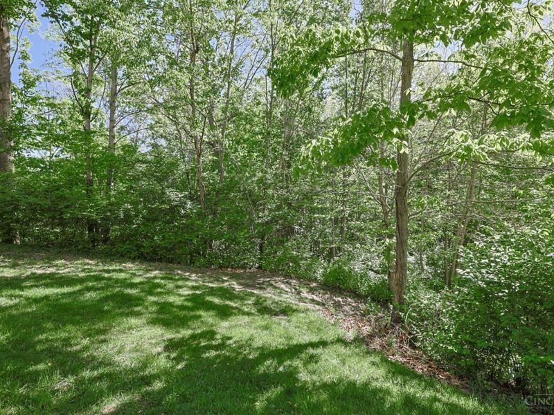 7587 Lake Water Drive, Cincinnati, OH 45242 Photo 59