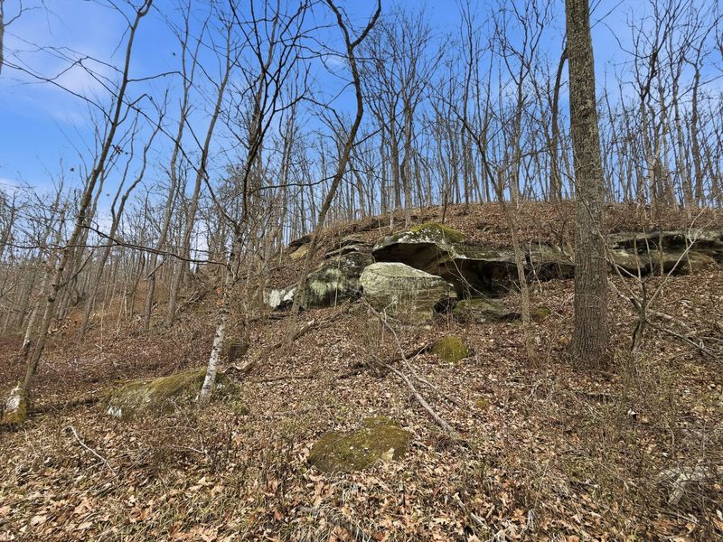 0 Rockville Road , Blue Rock, OH 43720 Photo 16