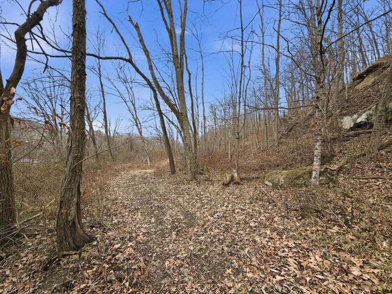 0 Rockville Road , Blue Rock, OH 43720 Photo 17