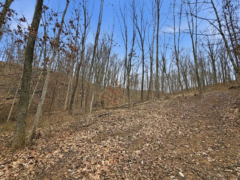 0 Rockville Road , Blue Rock, OH 43720 Photo 18