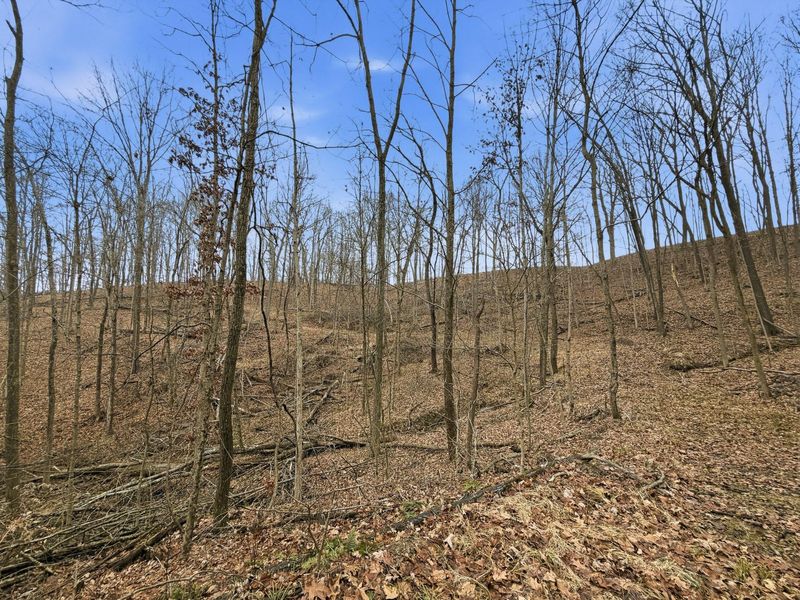 0 Rockville Road , Blue Rock, OH 43720 Photo 19