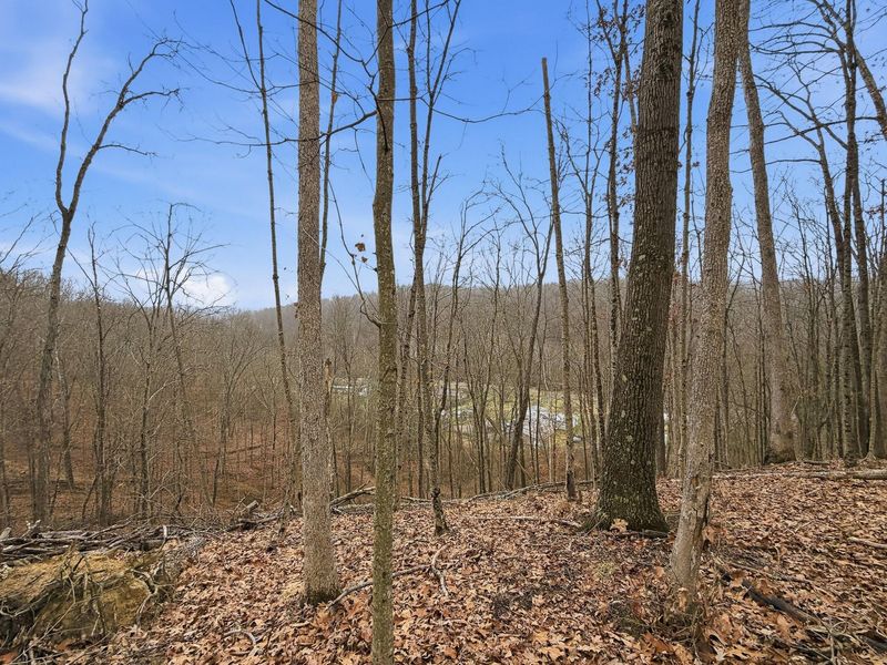 0 Rockville Road , Blue Rock, OH 43720 Photo 21