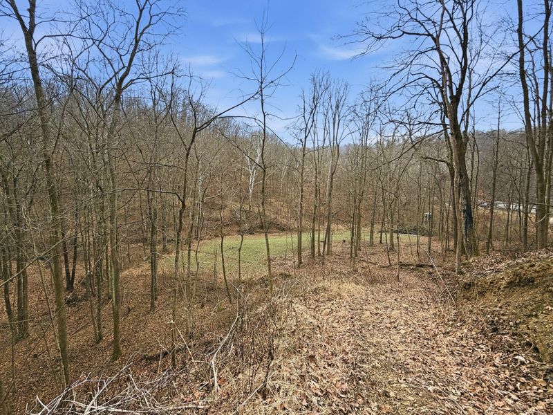 0 Rockville Road , Blue Rock, OH 43720 Photo 30