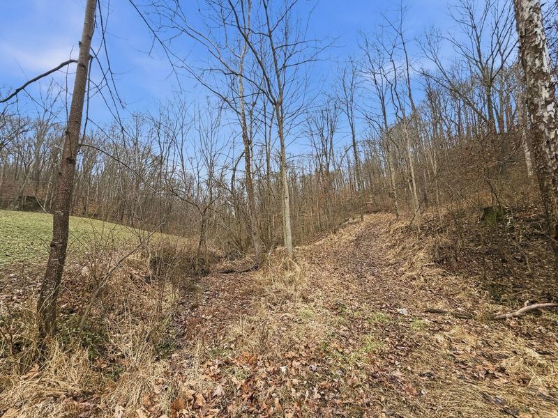 0 Rockville Road , Blue Rock, OH 43720 Photo 33