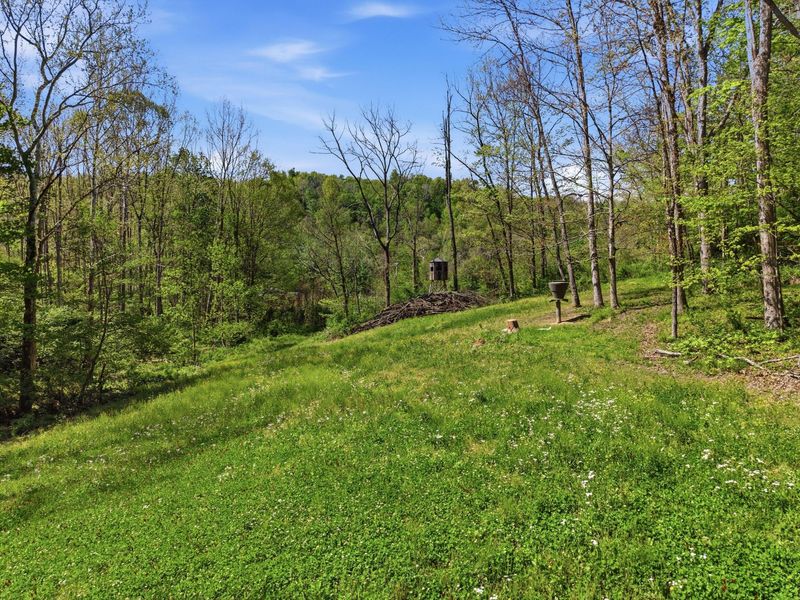 0 Rockville Road , Blue Rock, OH 43720 Photo 4
