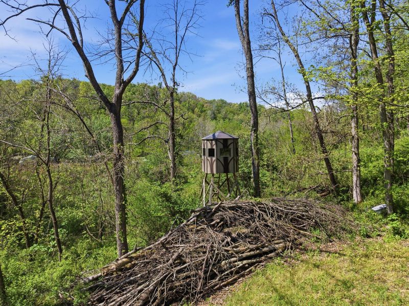 0 Rockville Road , Blue Rock, OH 43720 Photo 5