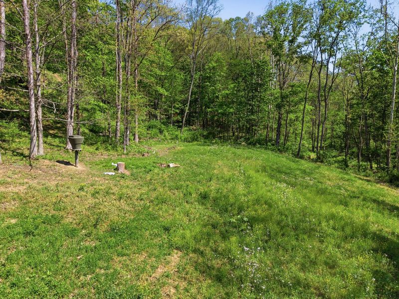0 Rockville Road , Blue Rock, OH 43720 Photo 6