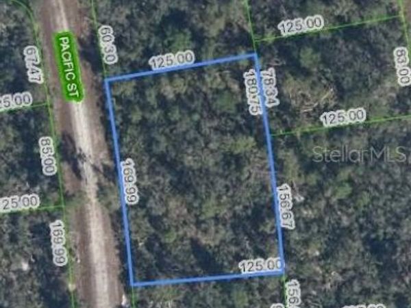 719 PACIFIC STREET, LAKE PLACID, FL 33852