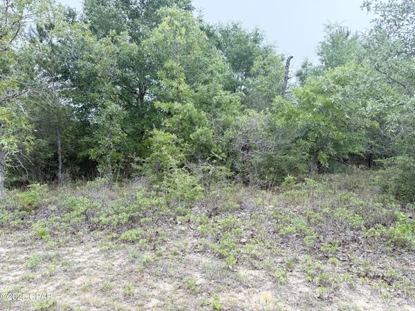 XXX Sumatra Drive , Chipley, FL 32428