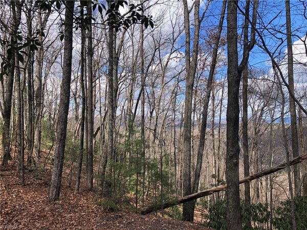 Lot 21 Bobcat Mountain Road , Purlear, NC 28665