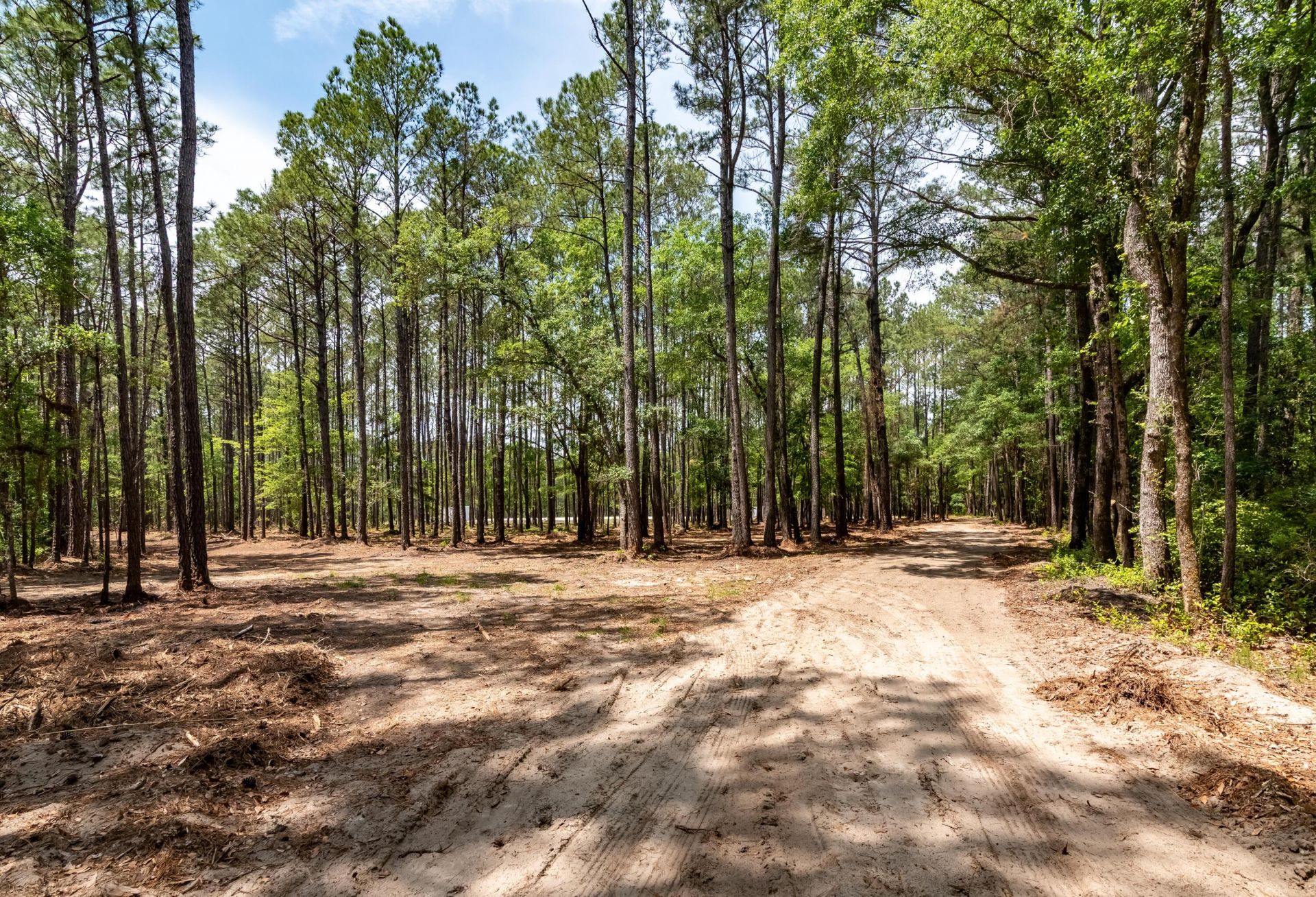 10260 N Highway 17 Photo 21