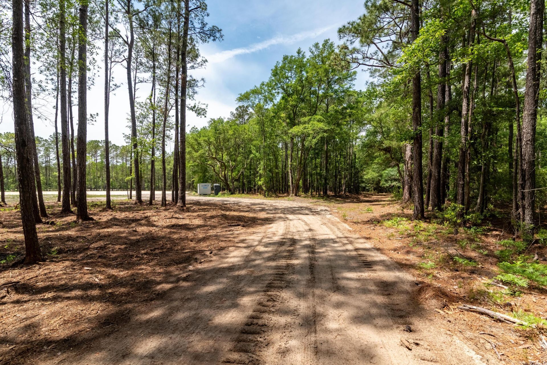 10260 N Highway 17 Photo 22