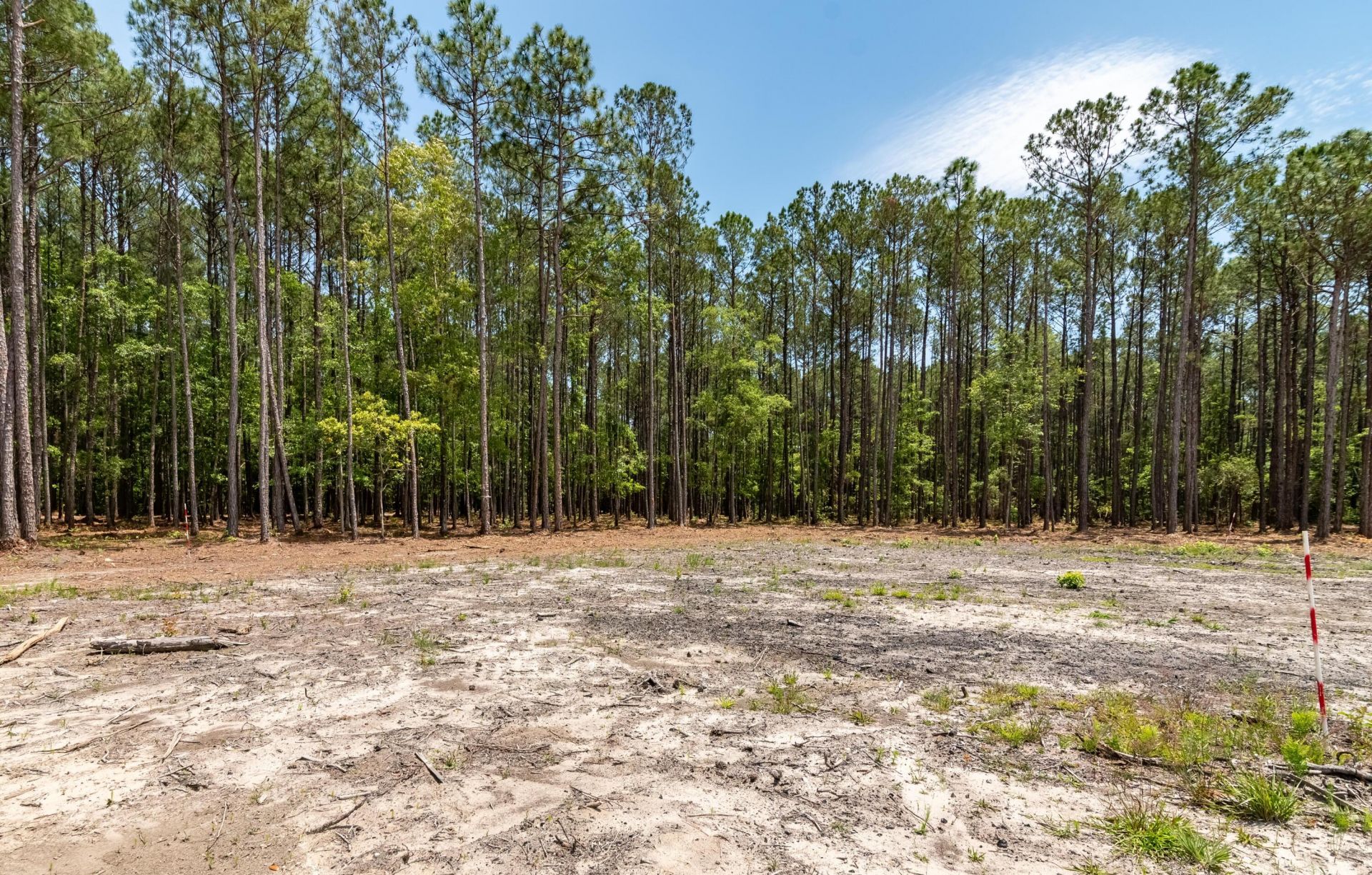 10260 N Highway 17 Photo 25