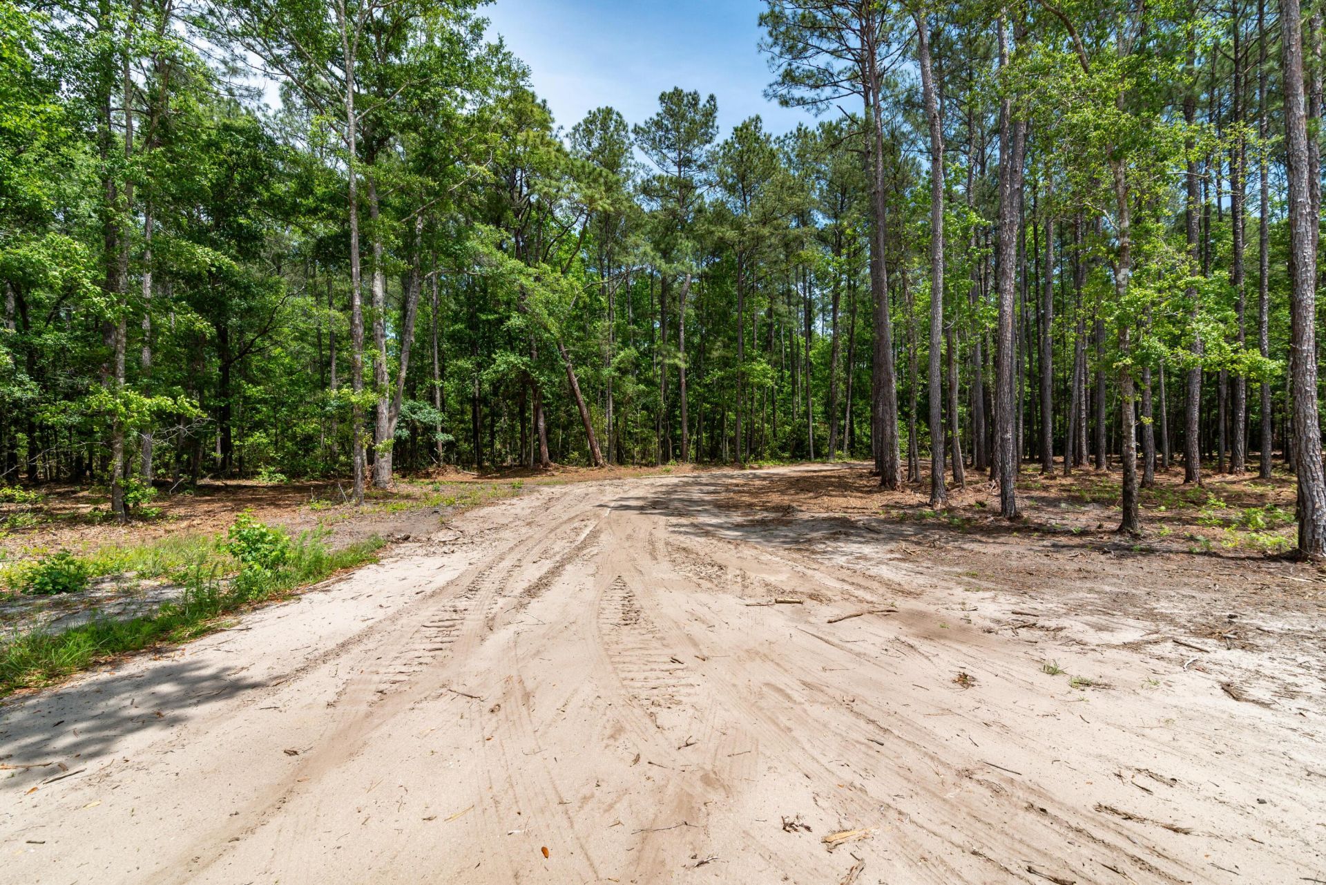 10260 N Highway 17 Photo 26