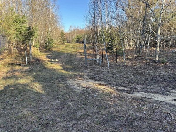 Forward, Lake City, MI 49651