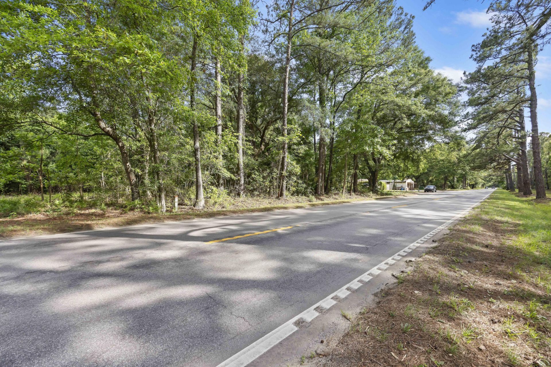 2496 Boy Scout Road Photo 12