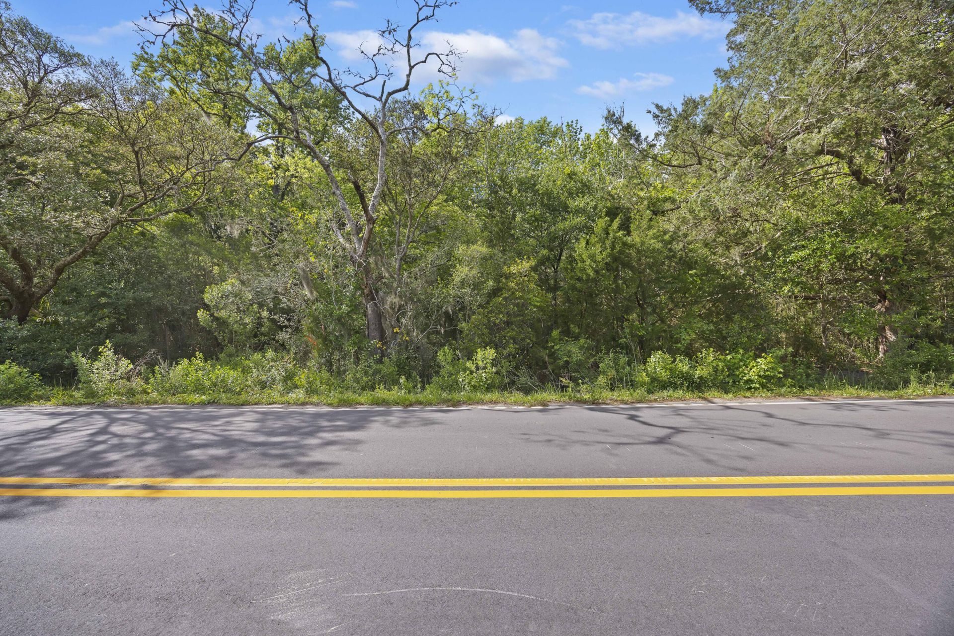 2496 Boy Scout Road Photo 15