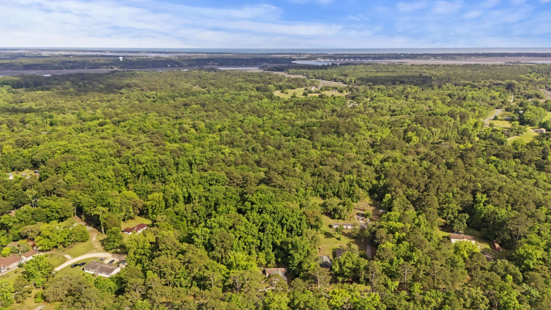 2496 Boy Scout Road Photo 4