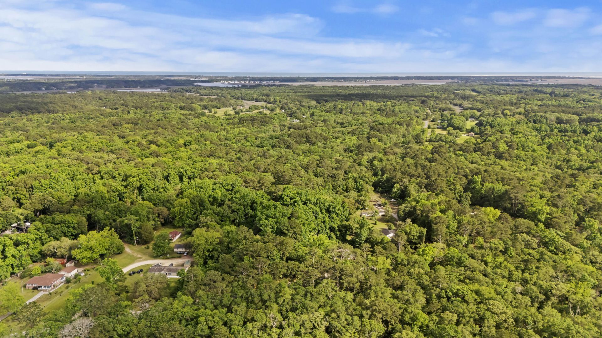 2496 Boy Scout Road Photo 5