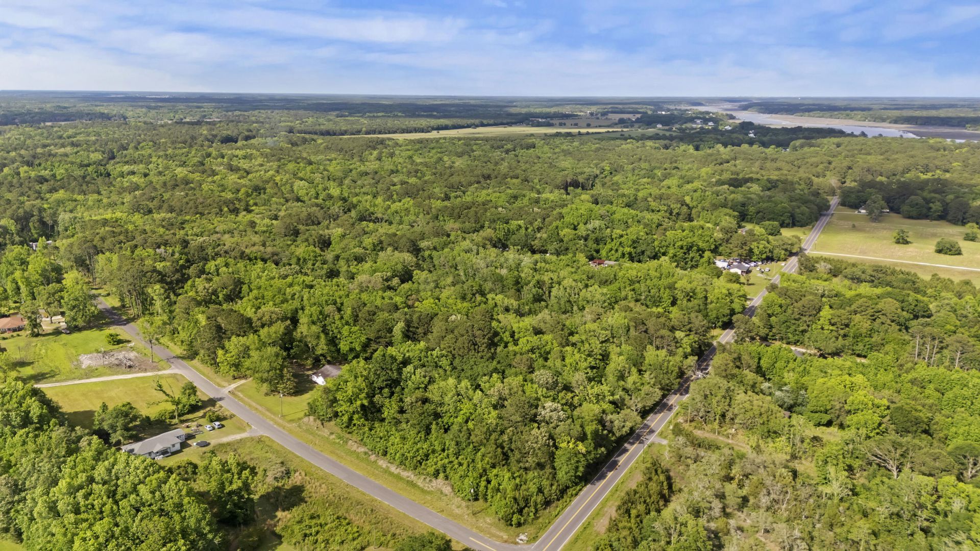 2496 Boy Scout Road Photo 9
