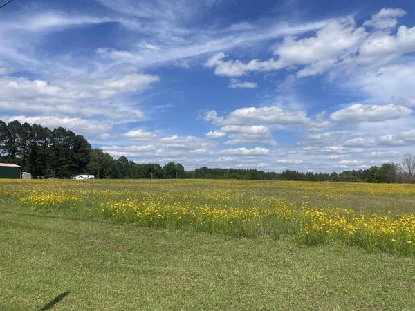000 Highway 291 , Prattsville, AR 72129