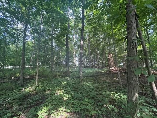 5387 Dildine Road, Delaware, OH 43015