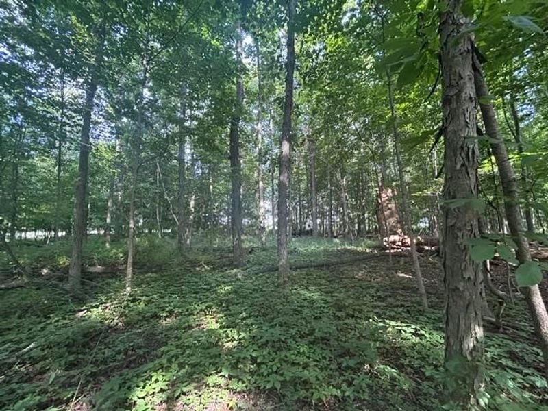 5387 Dildine Road, Delaware, OH 43015 Photo 1